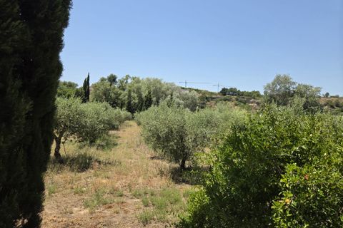 Landejendom i Mora La Nova, Tarragona, Mora La Nova - € 89.000 | Ref: L910M Riordan  - foto 39